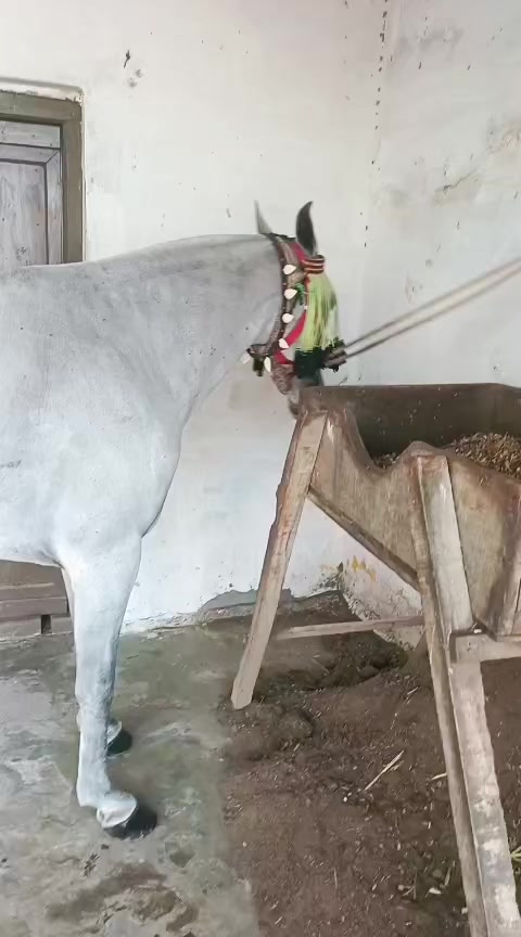 @Khan Asifkhan