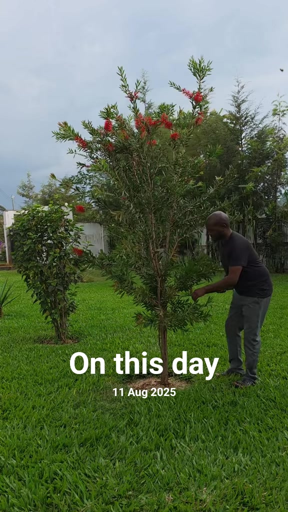 @Ben Bii
