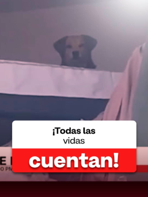 @NoticiasRCN