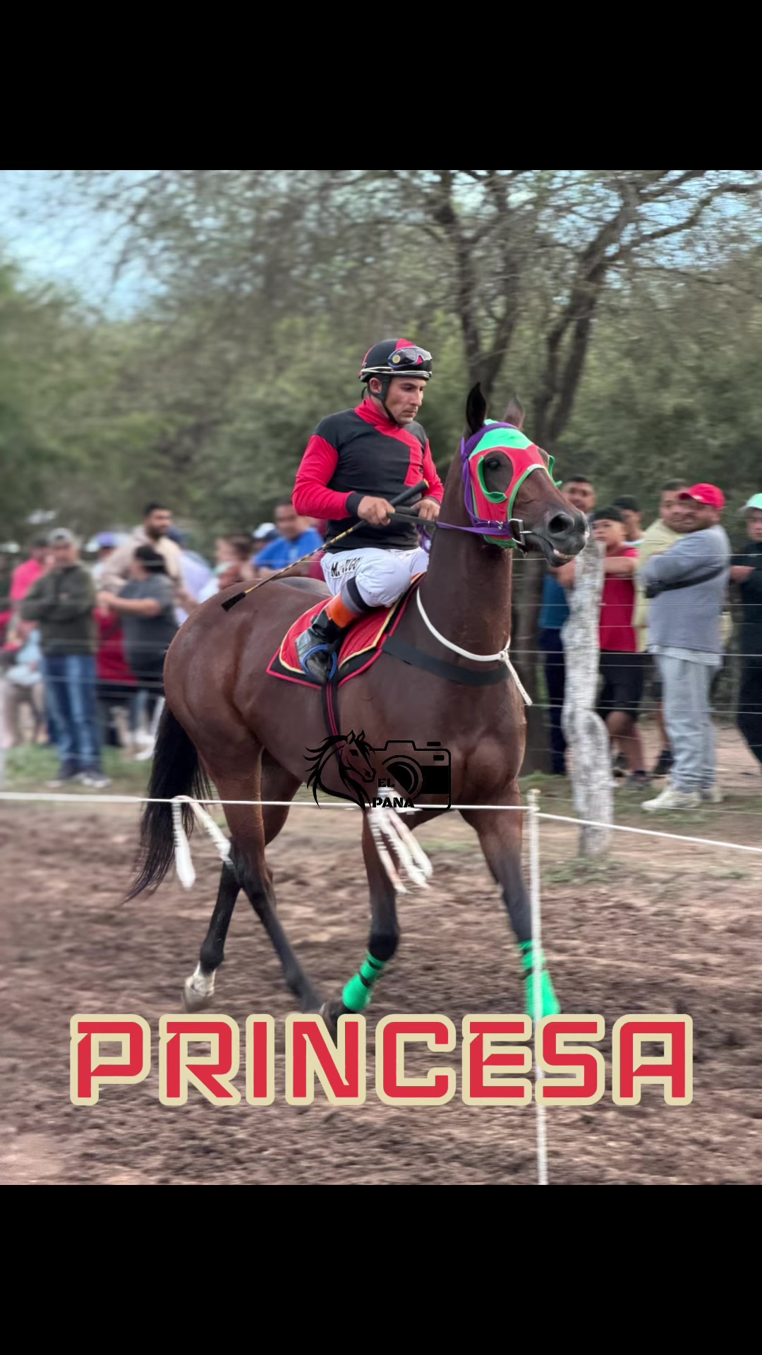 @el_pana_trh
