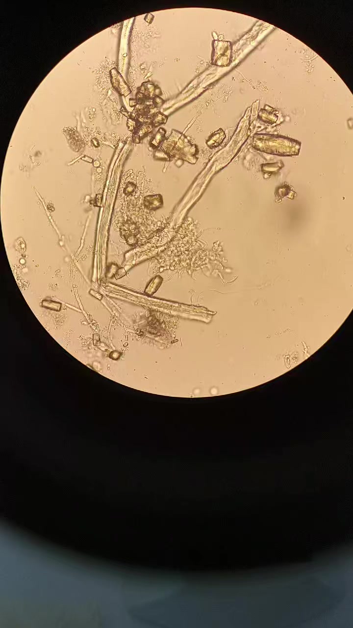 @Houda Micro 🔬