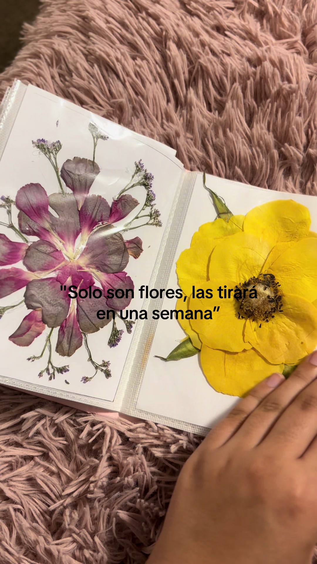 @javaa.fl