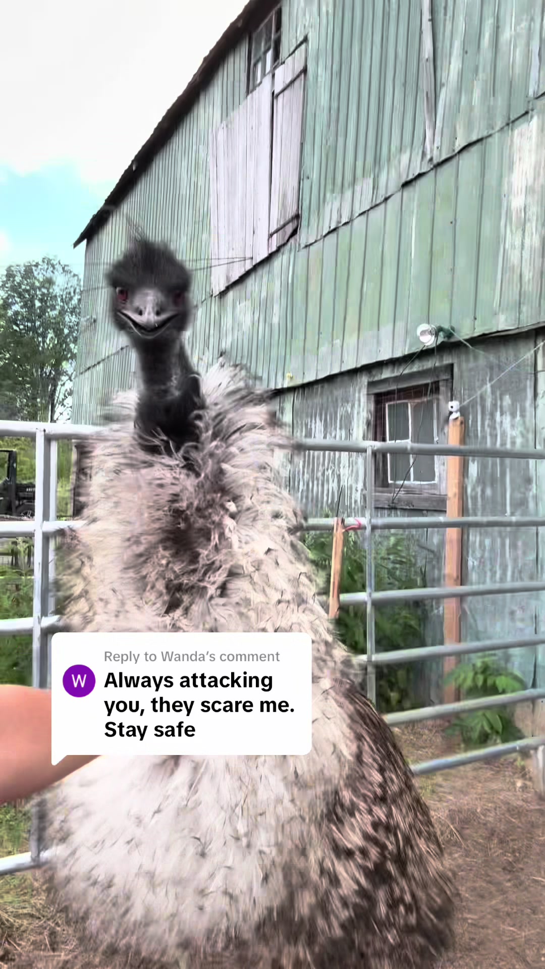 @Useless Farm