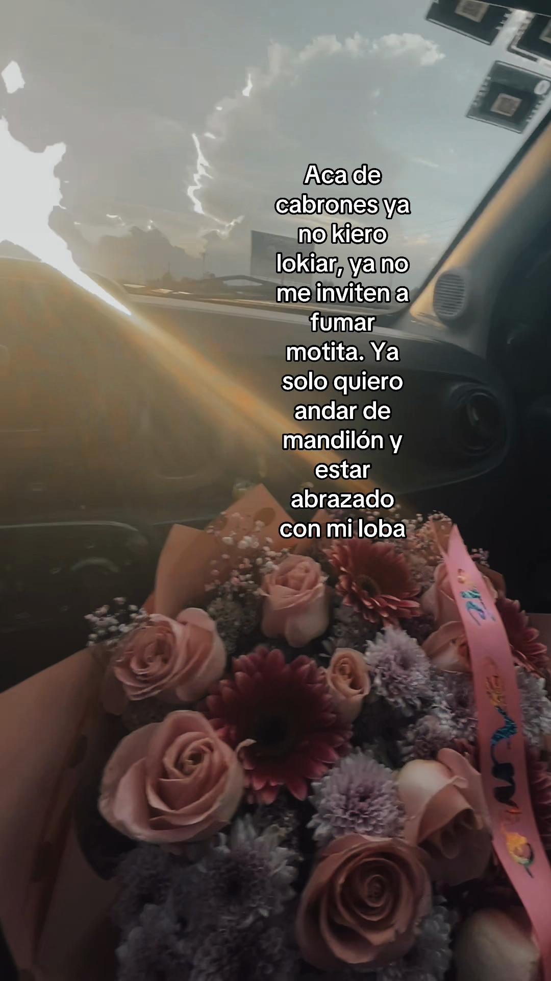 @useed1xg_7
