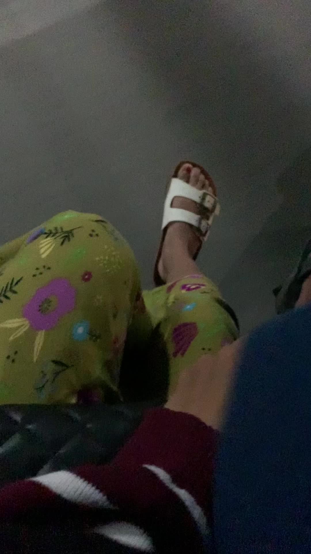 @Dedykncl🐾