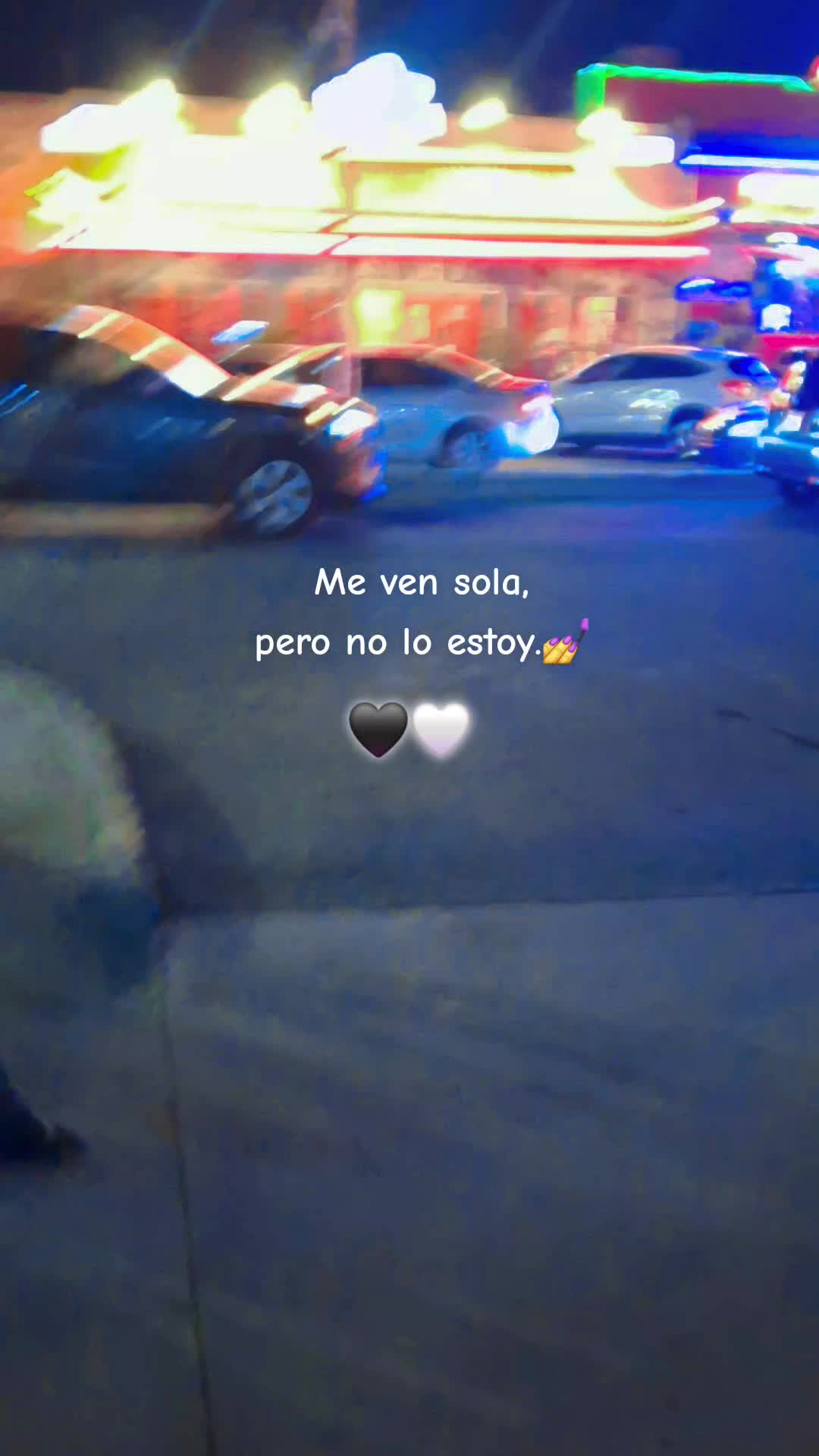 @frijolito 🐈⬛
