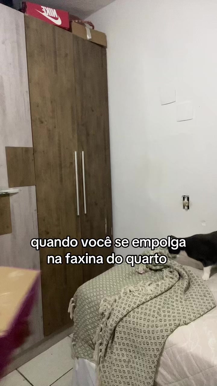 @bela sicon