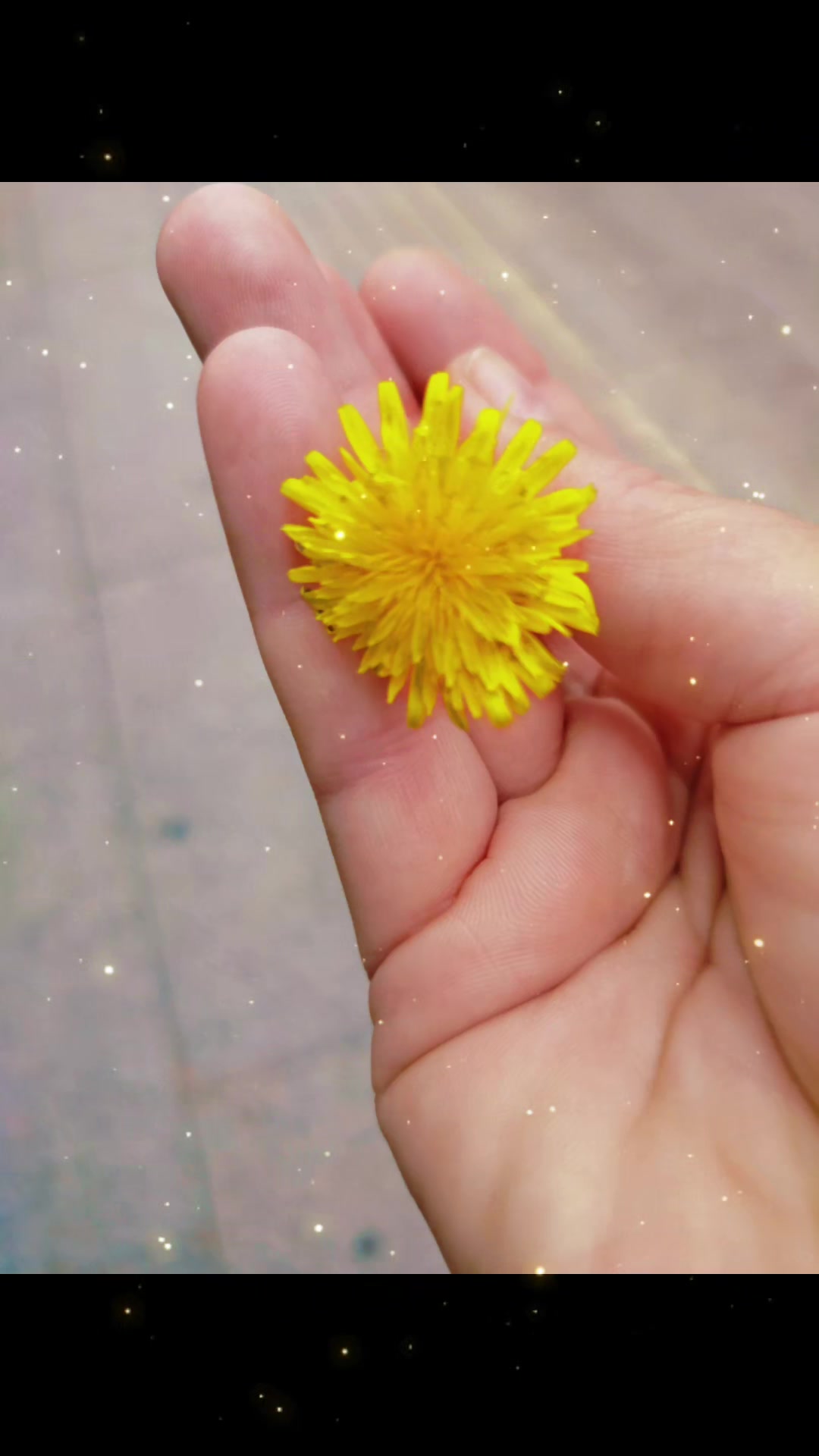 @🌷❤ 55 SEBİHA SEZER 06 ❤🌹