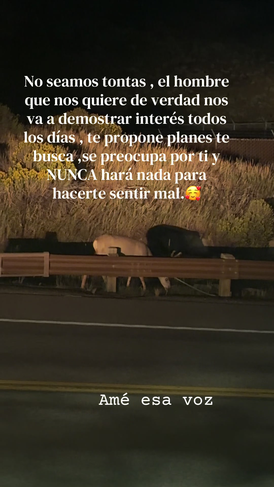 @olic802