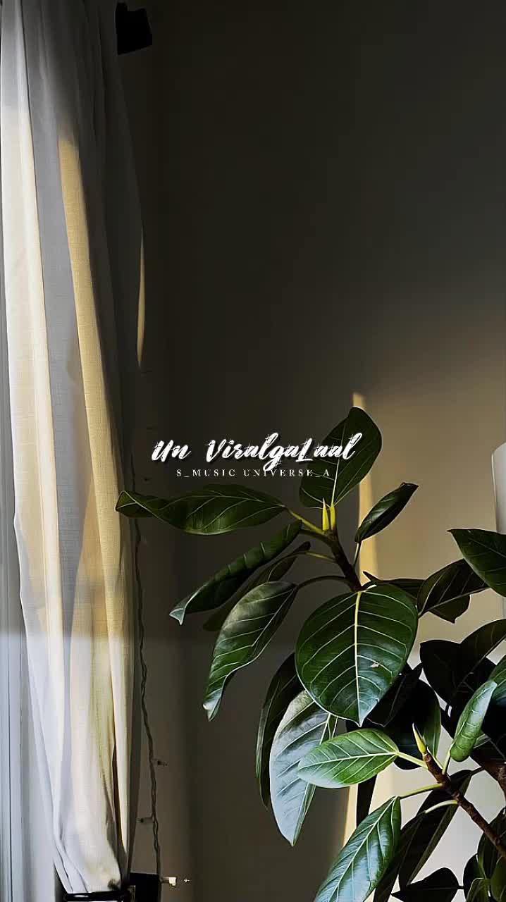 @&hearts;𝙈𝙐𝙎𝙄𝘾 𝙐𝙉𝙄𝙑𝙀𝙍𝙎𝙀&hearts;