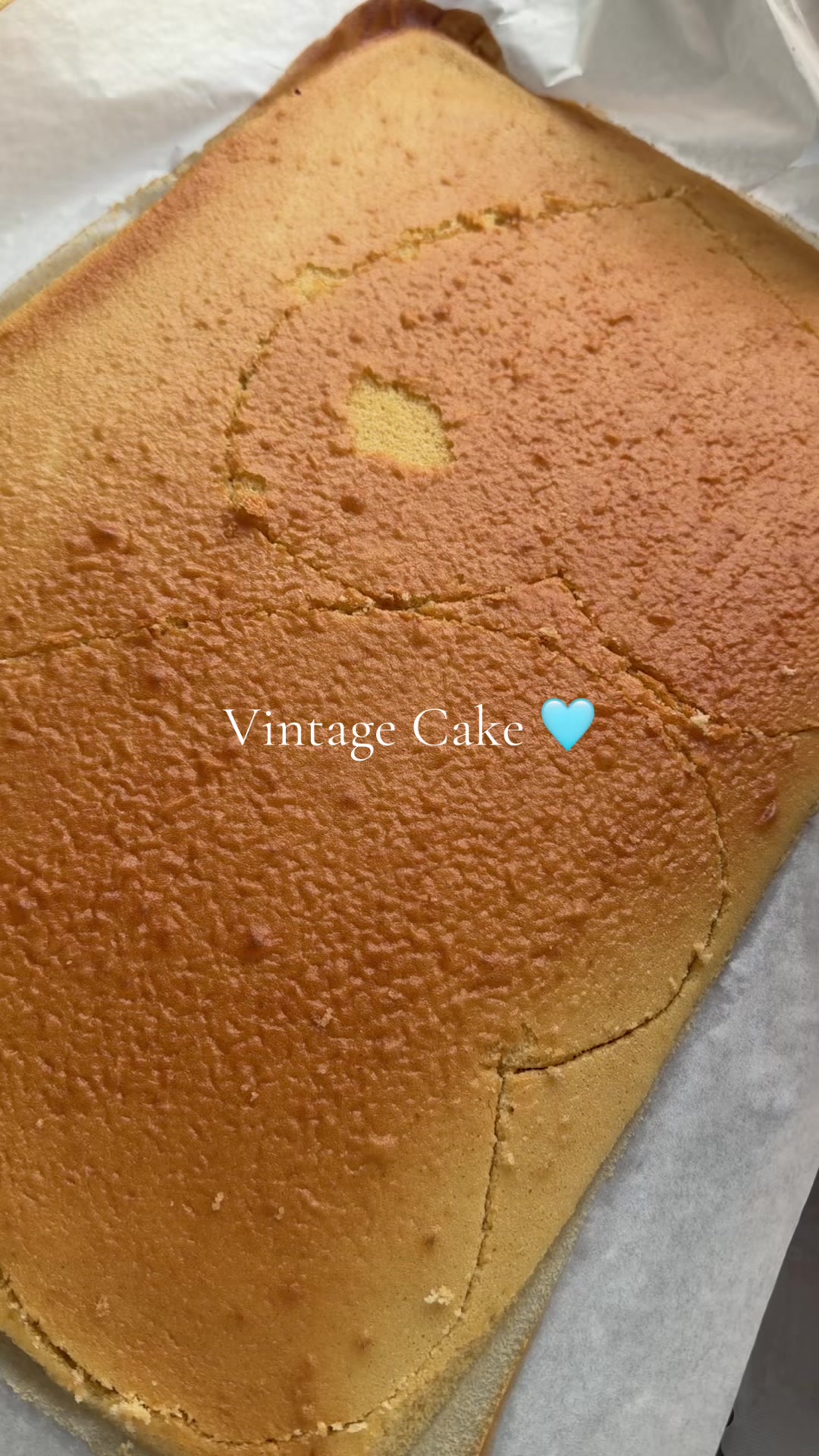@Catlove cupcake