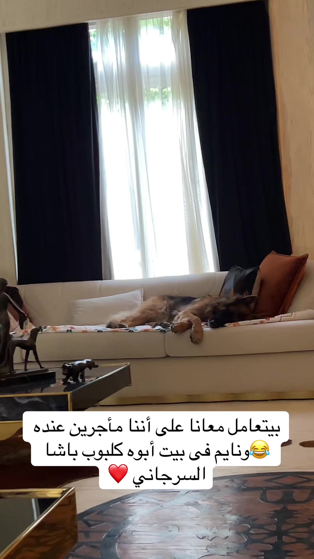 @Yasmen Elgrawany