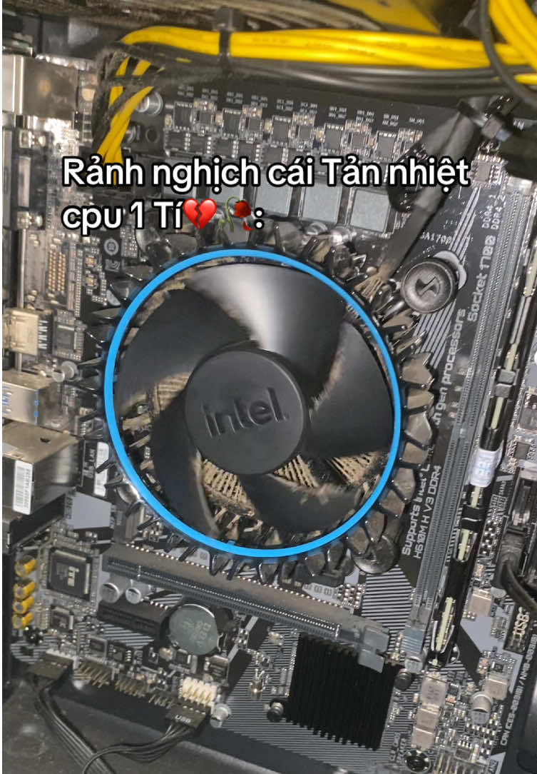 @NᴏɴɢDᴜᴄHɪᴇᴜ🇻🇳