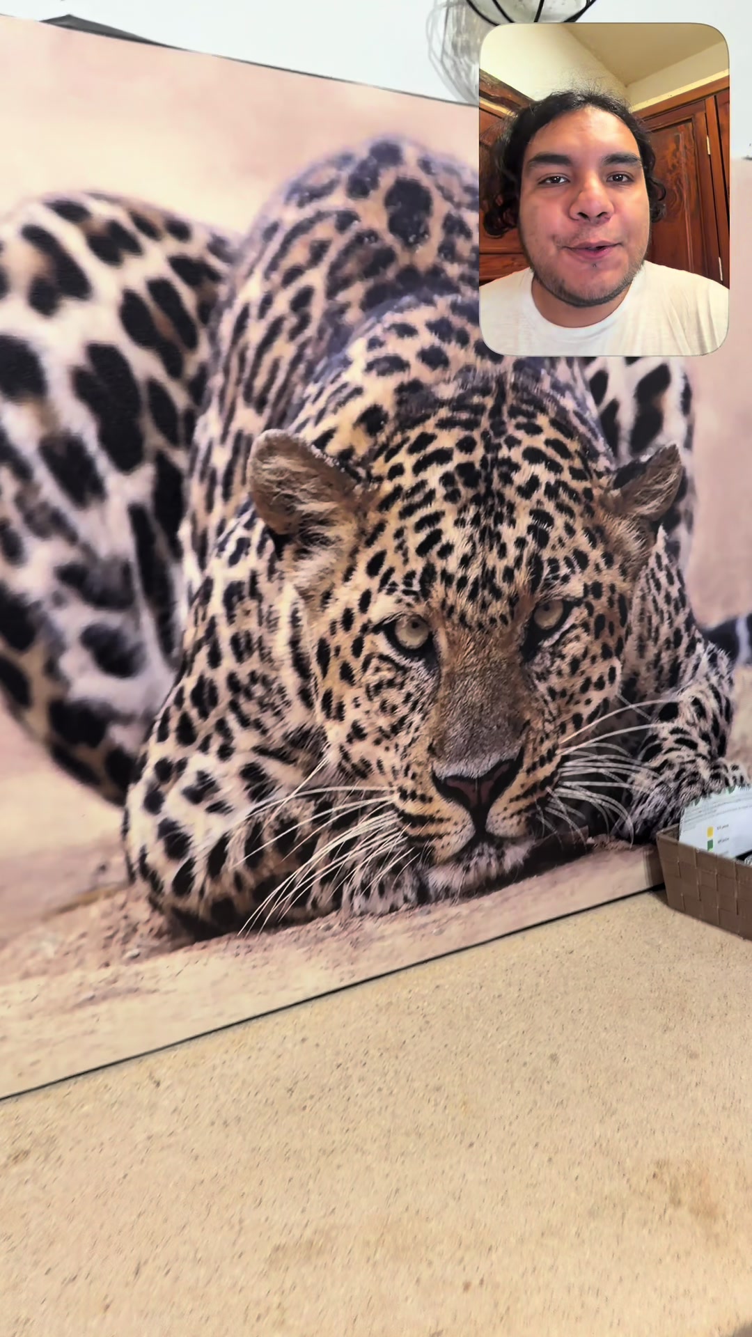 @Jair Herrera 🐆