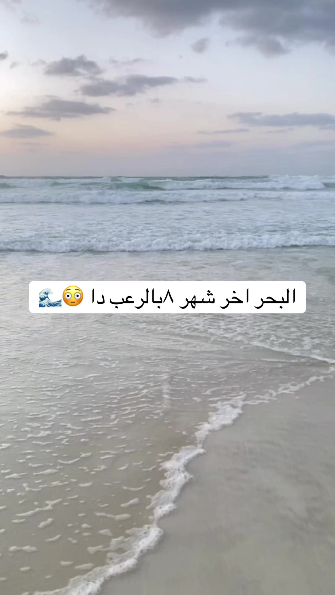 @delara❤️mahmoud
