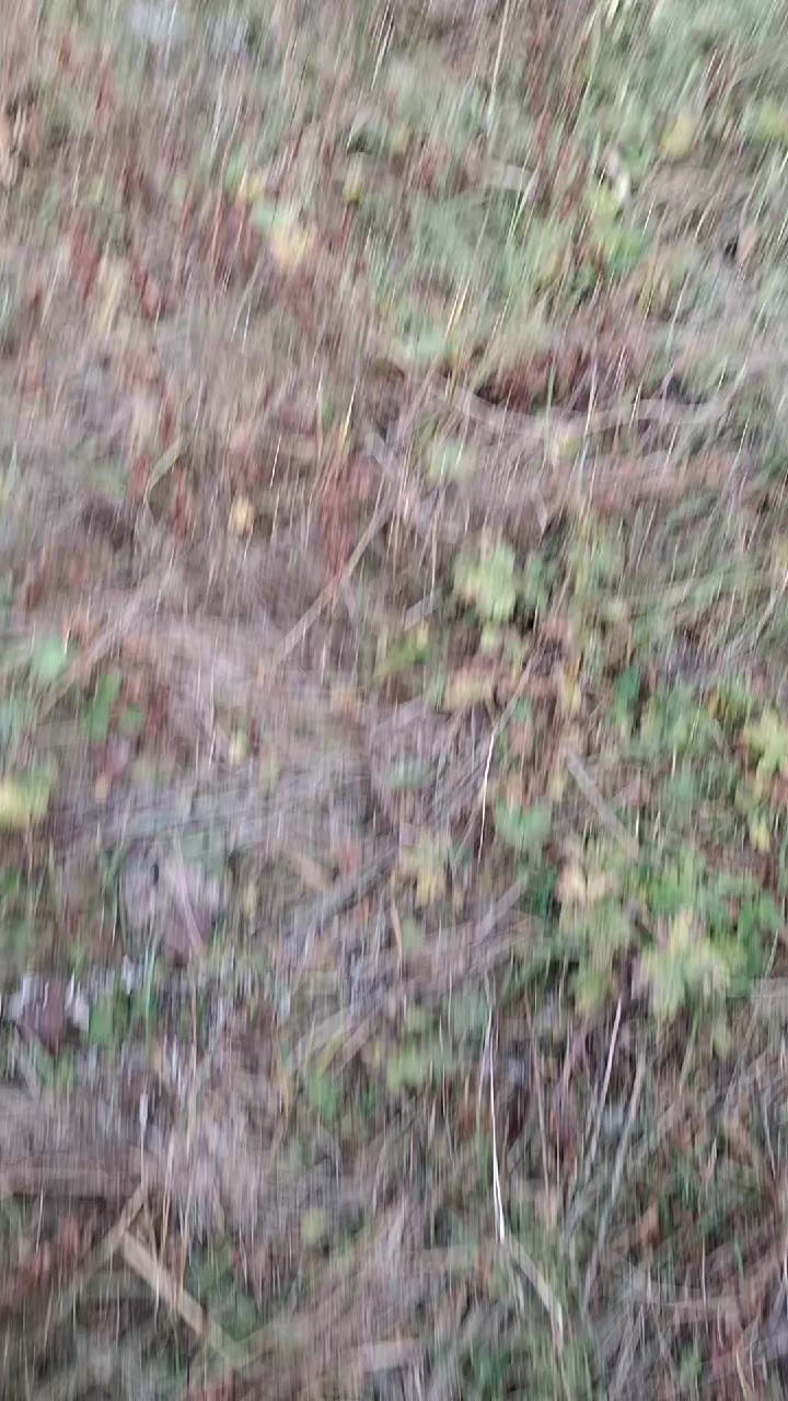 @tankistayyyffff