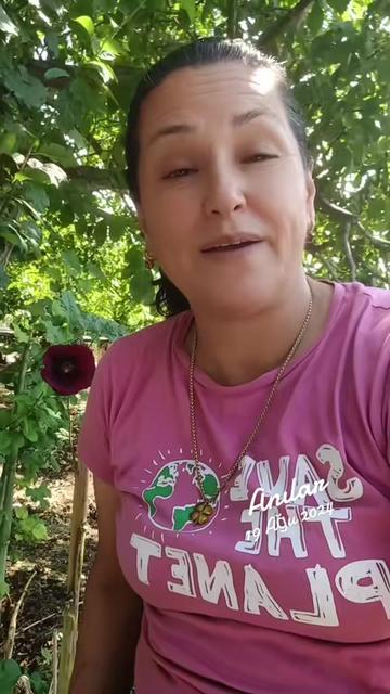 @🌺 &Ccedil;UKUROVALI 🌺