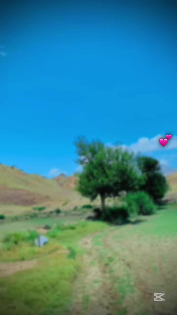 @A H Shera Sherani