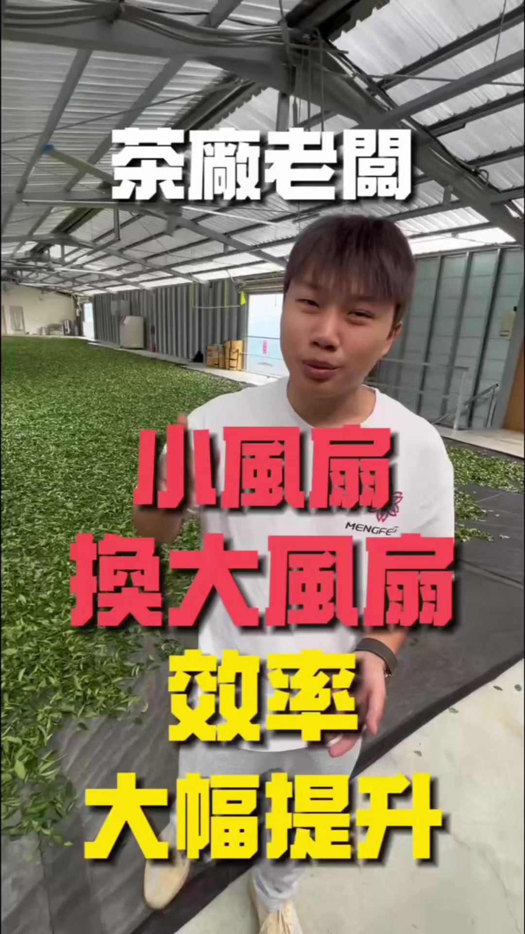 @孟鋒通風｜MengFeng Fan