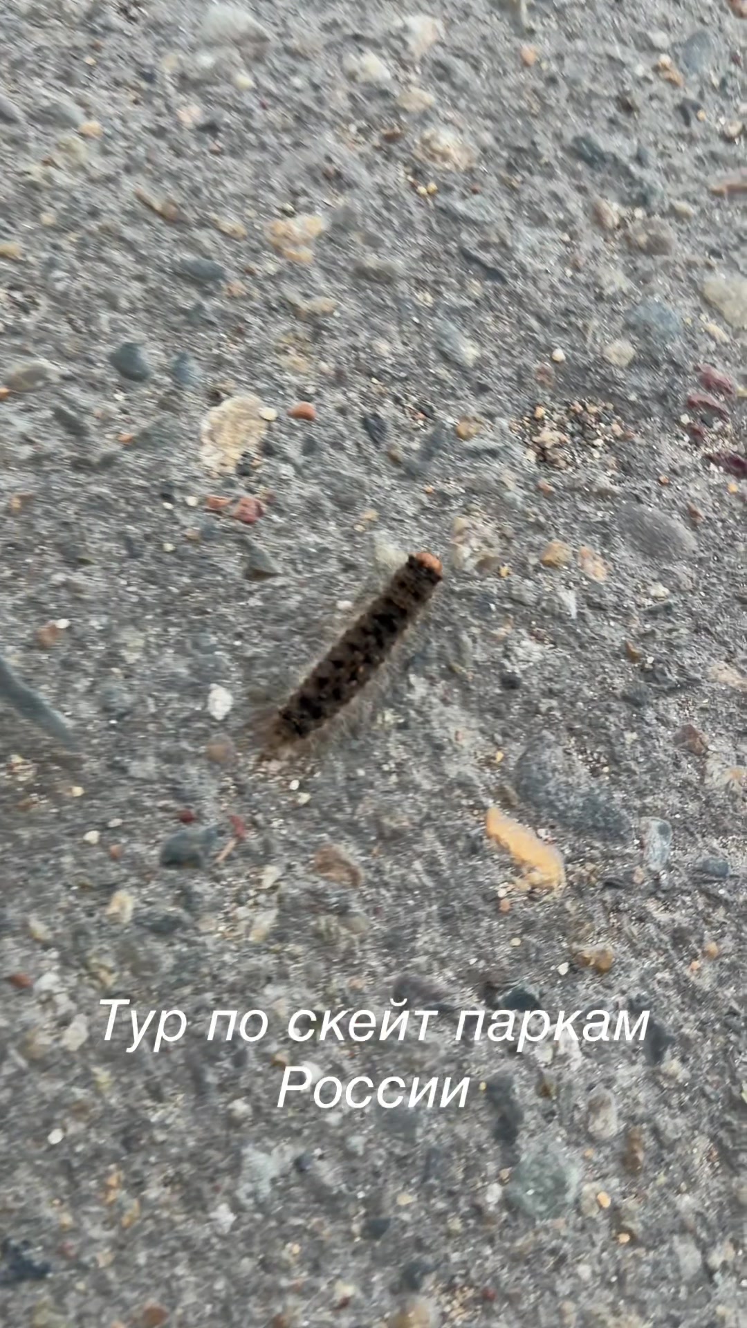 @isokolovbmx