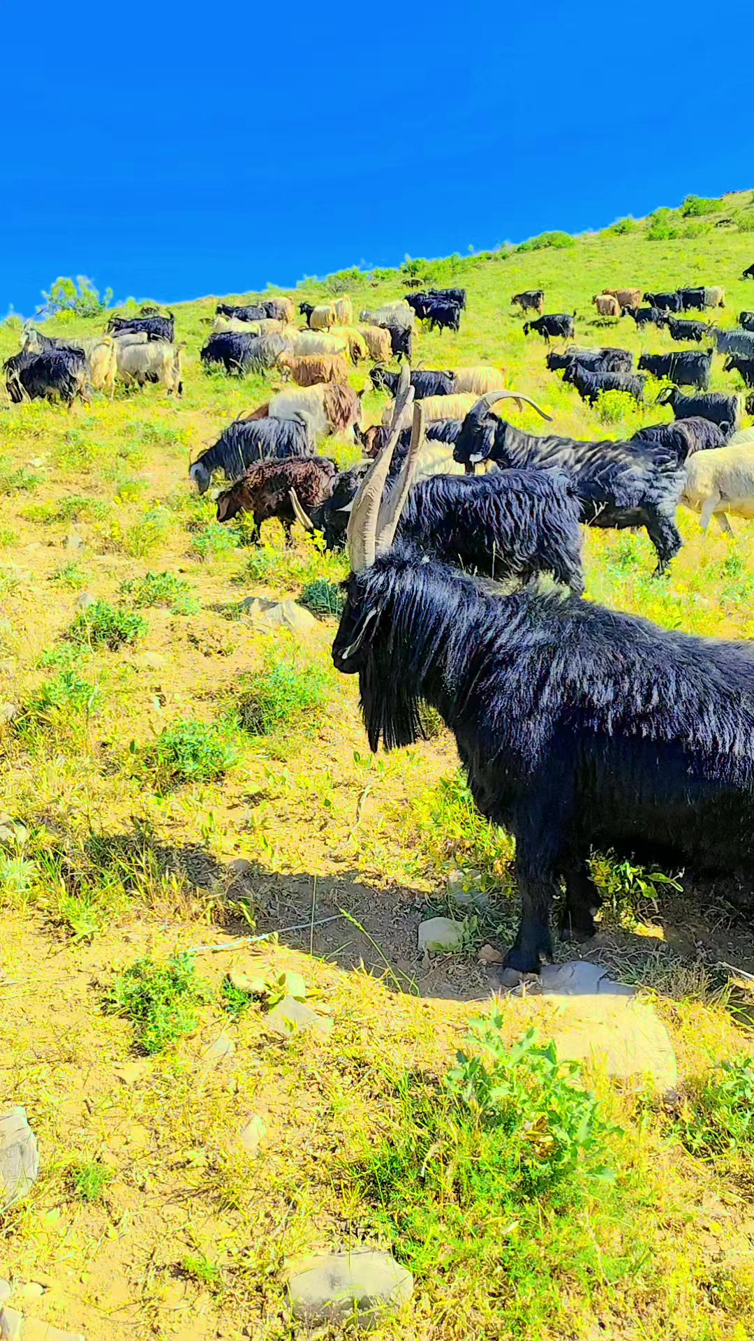 @Murat Urper