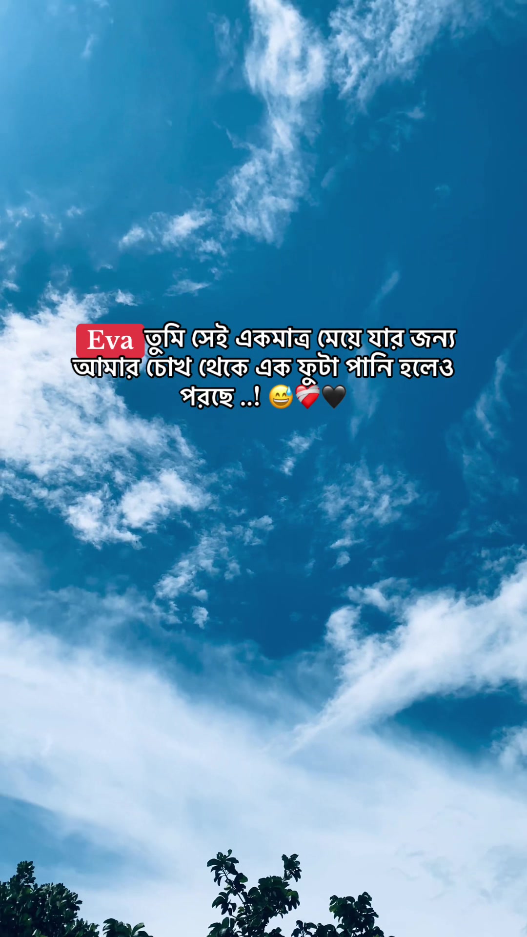 @Ashik