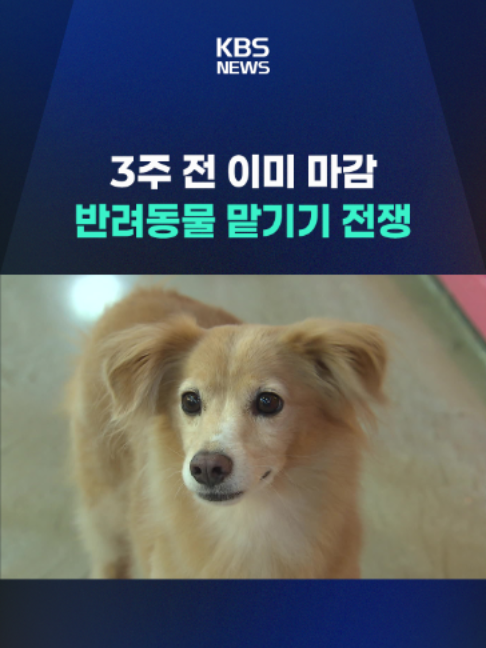 @KBSNEWS
