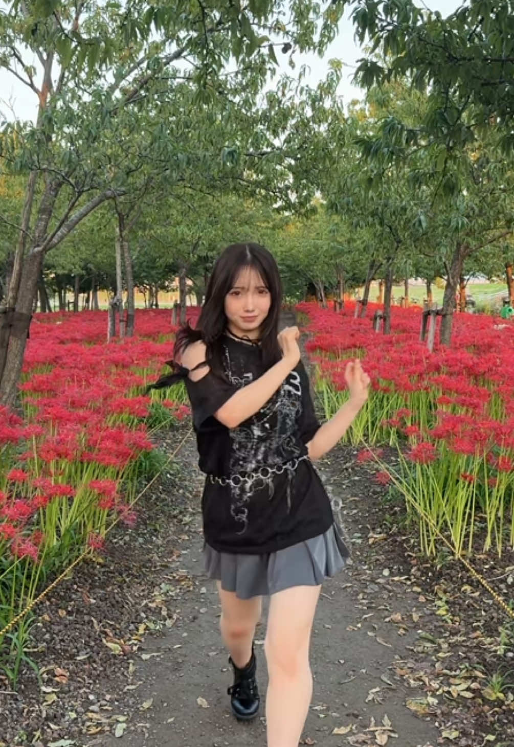 @🌎彩花⚡️
