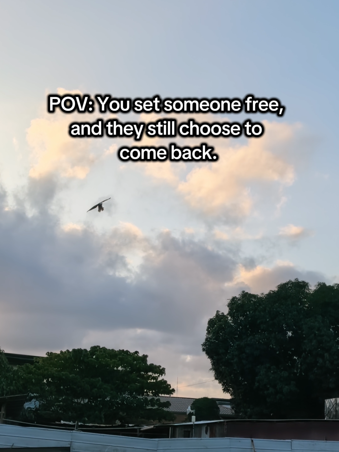 @NolinTV