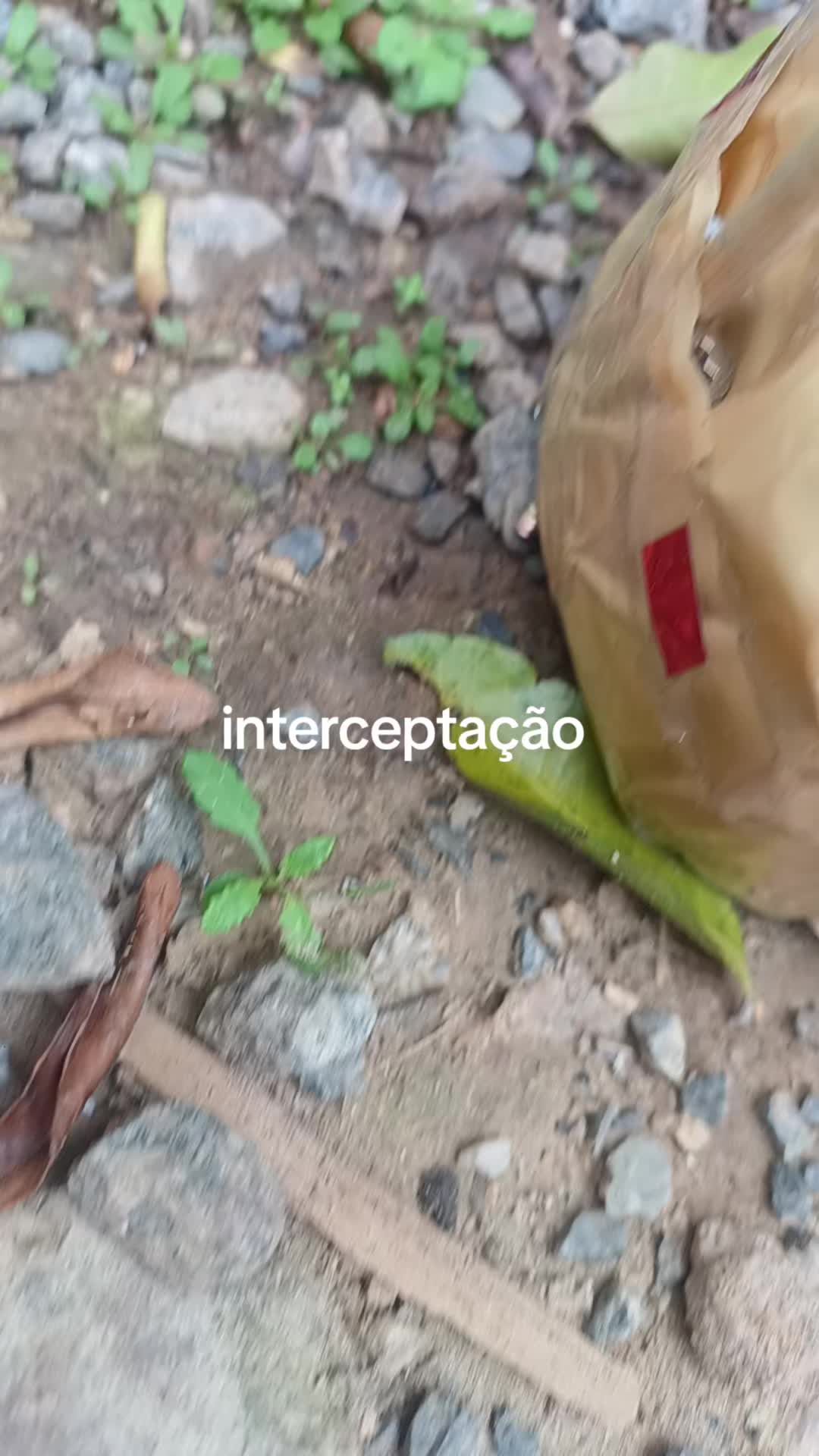 @cassio batista