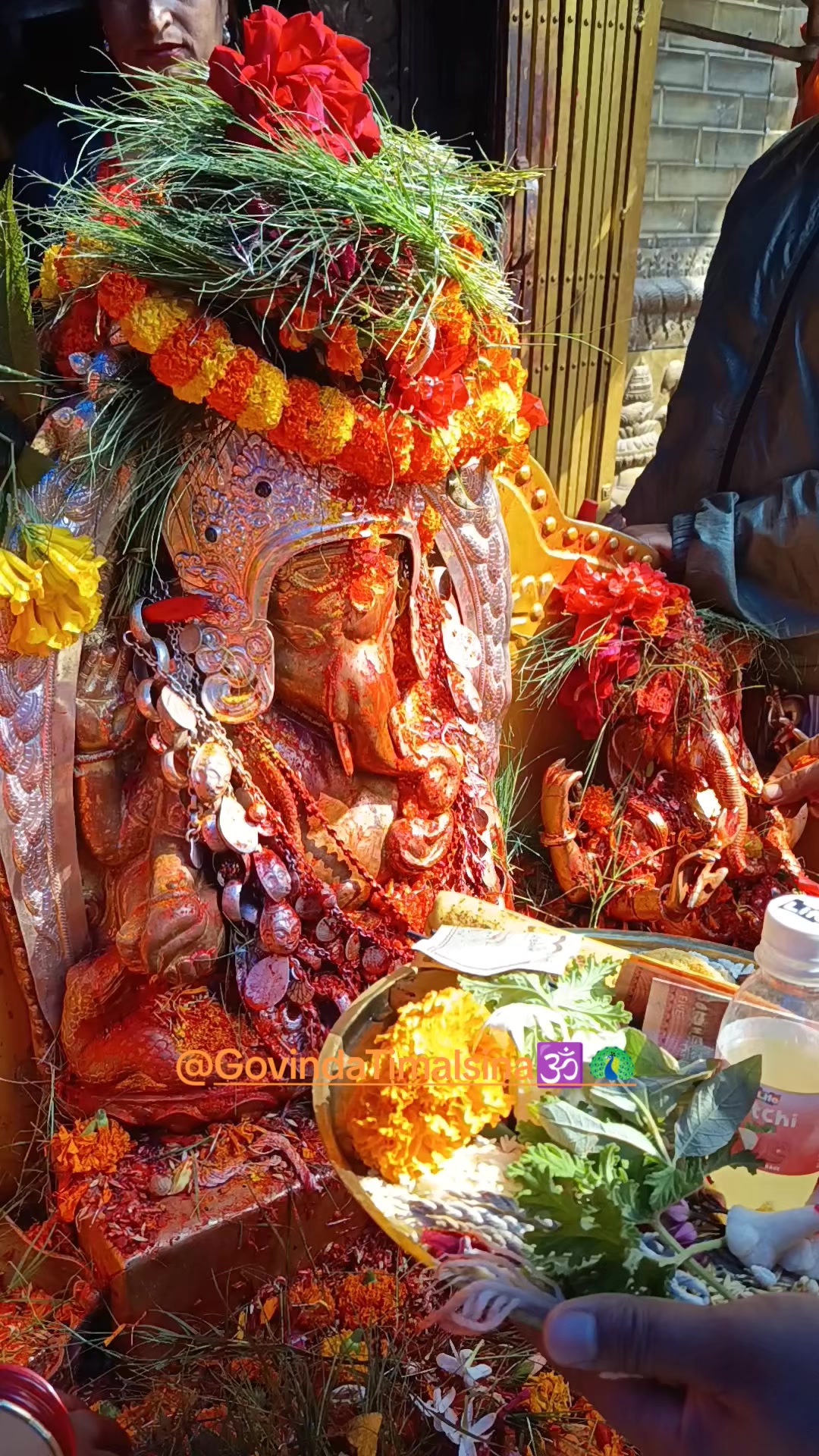 @Govinda Timalsina🕉🦚