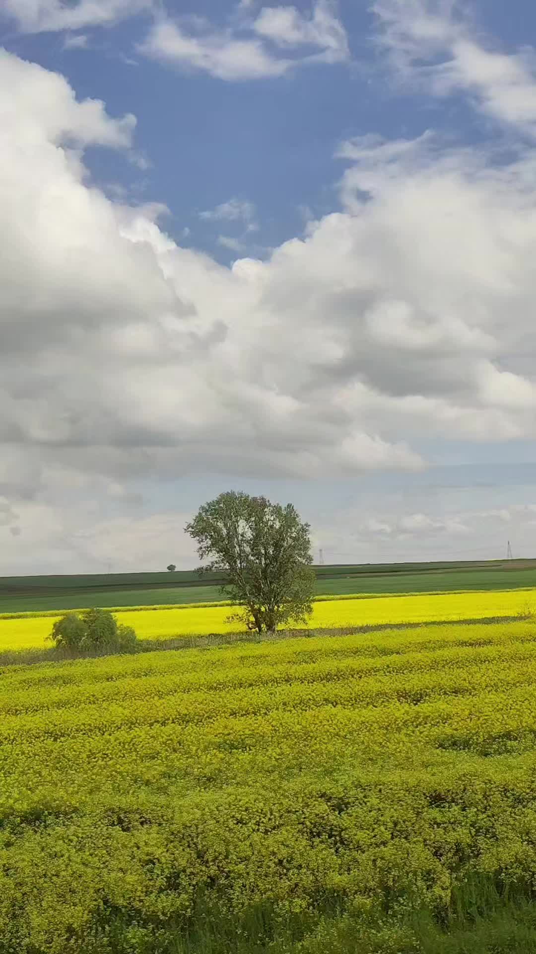 @Ƙɑɾɑ Տҽѵժɑʍ...