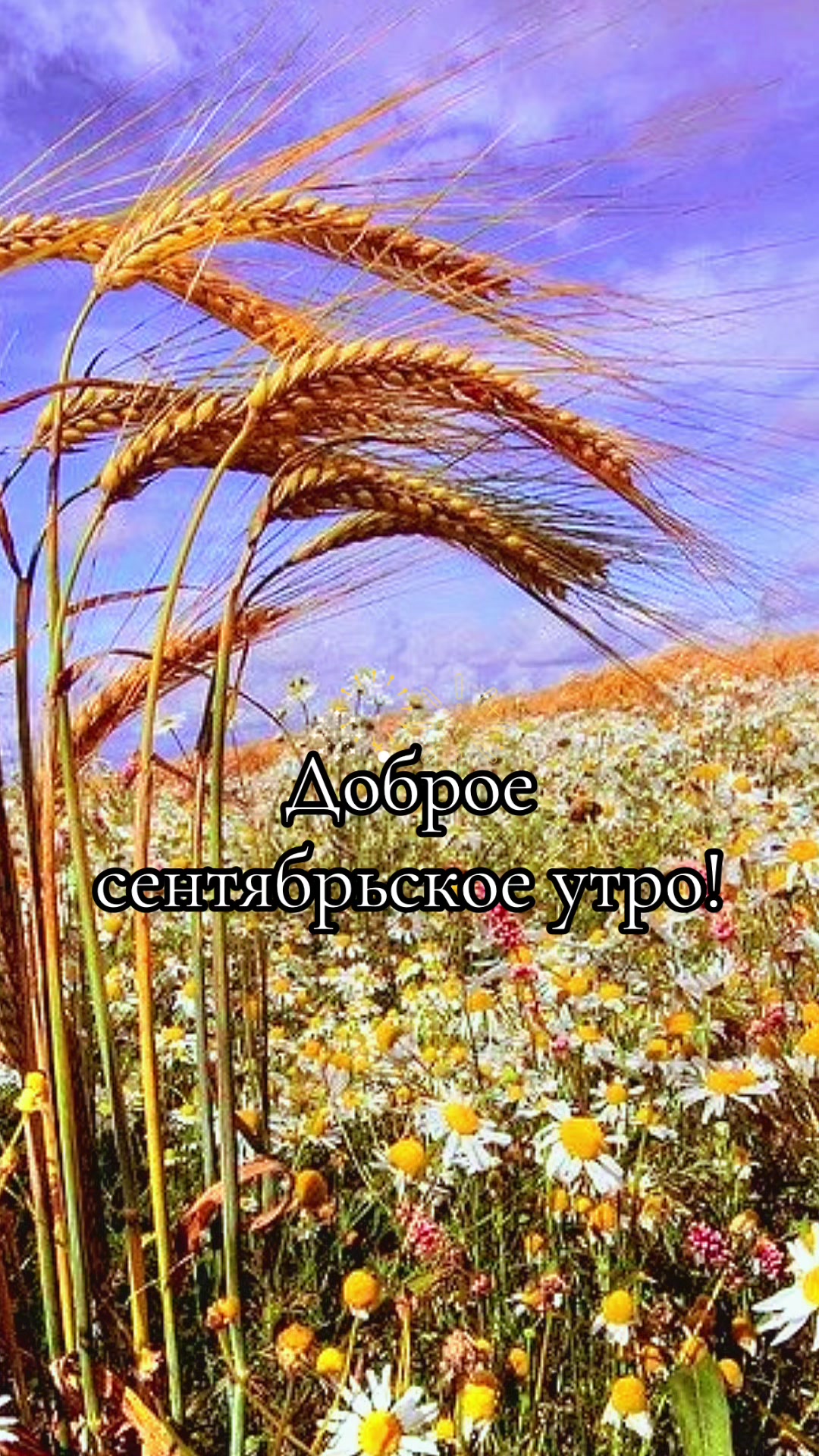 @Файруза Ковалинская