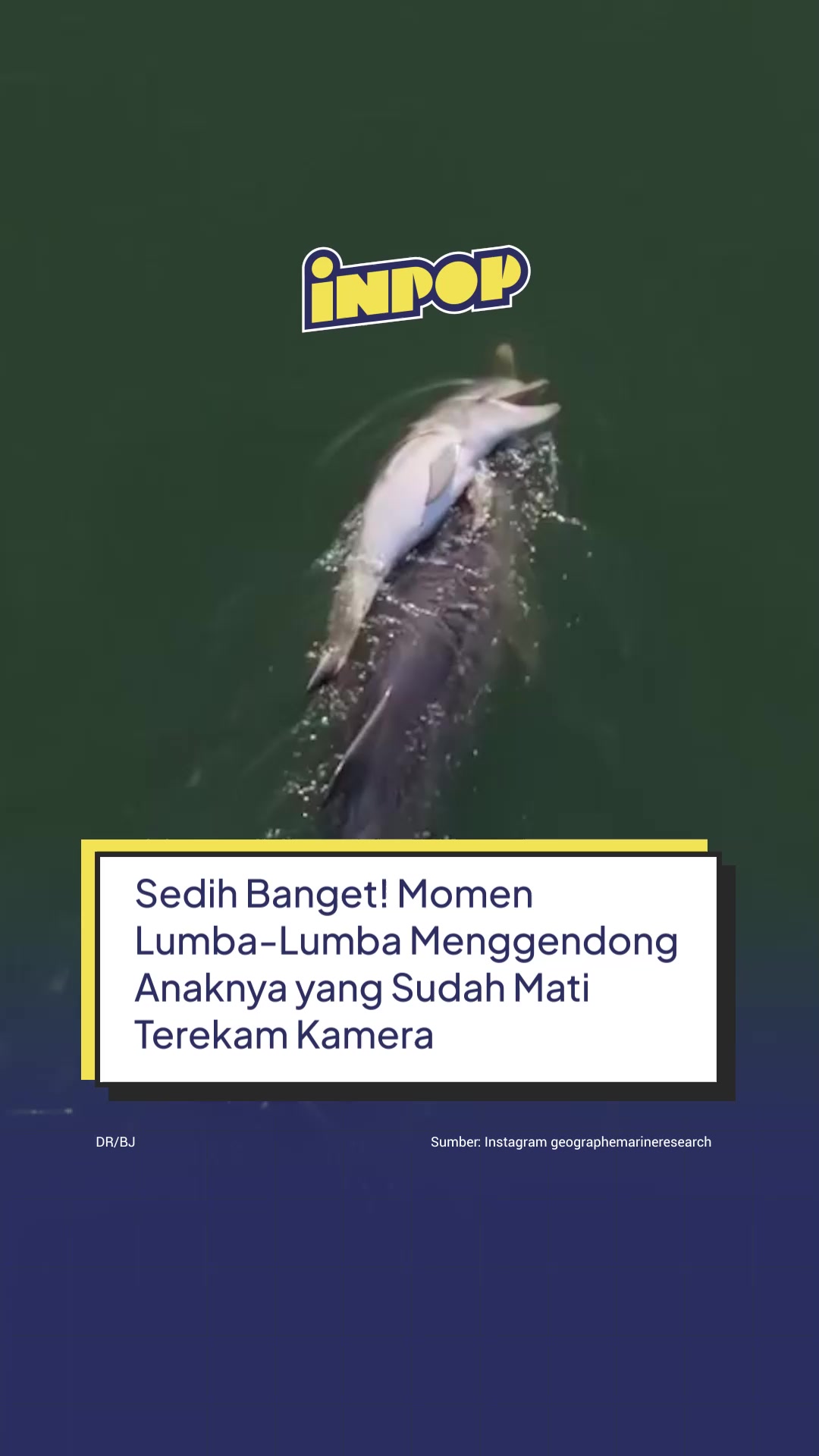 @inpopmedia