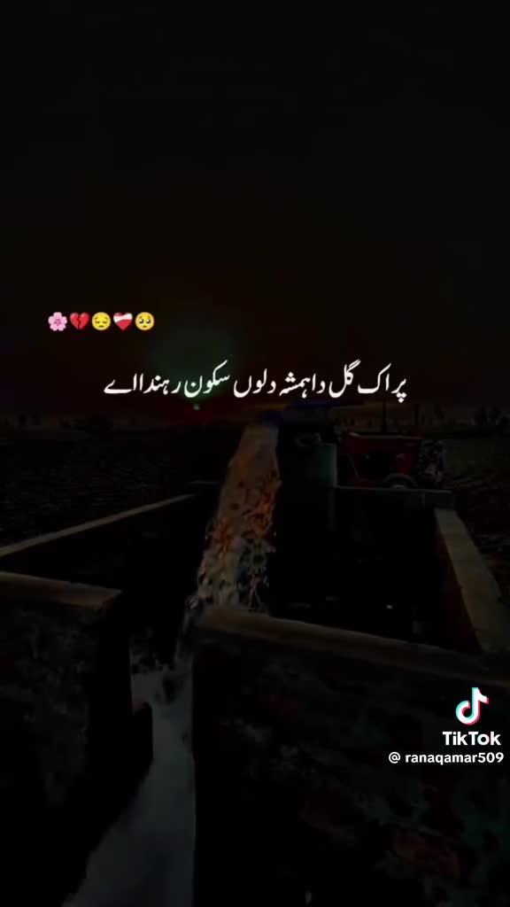 @Lala Abbas658