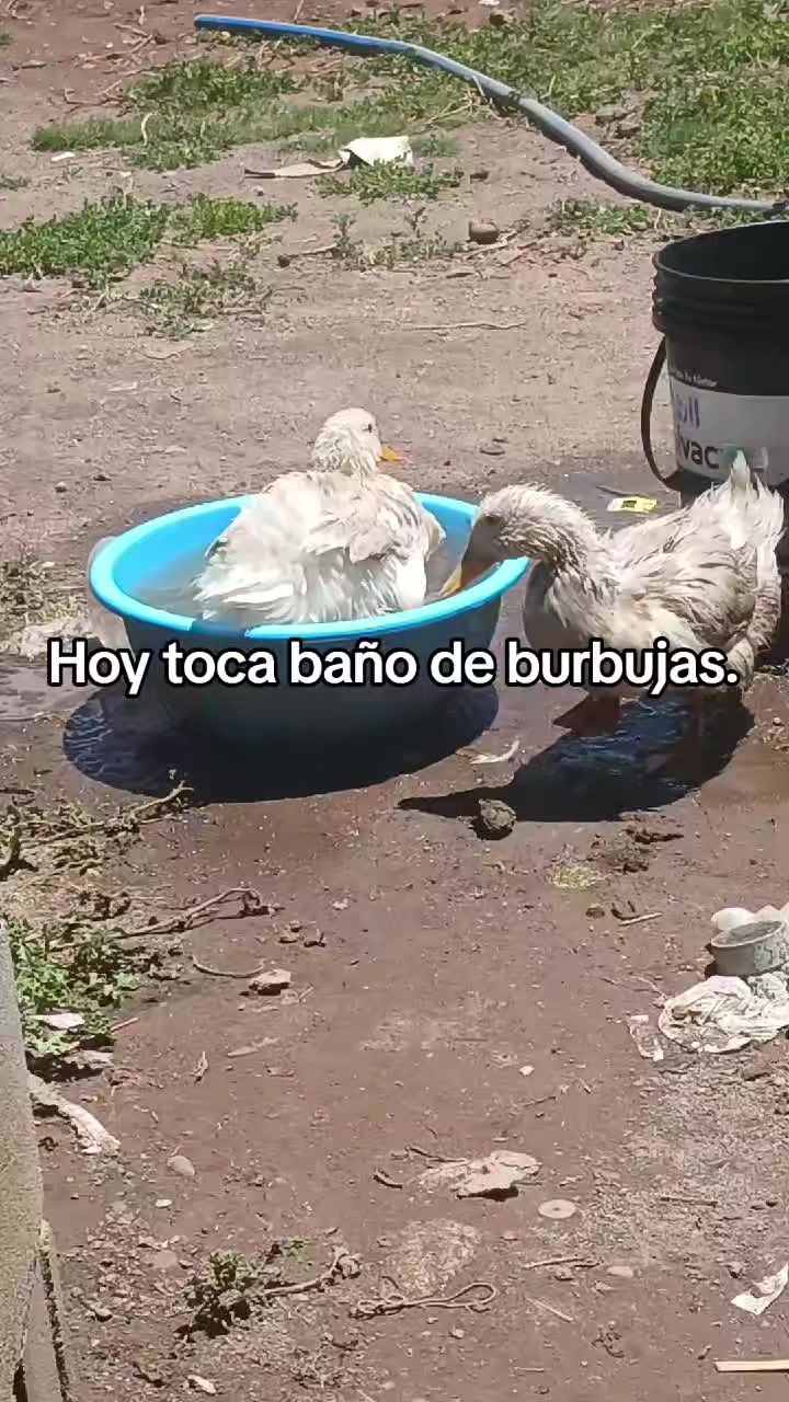 @😍quelindha😍