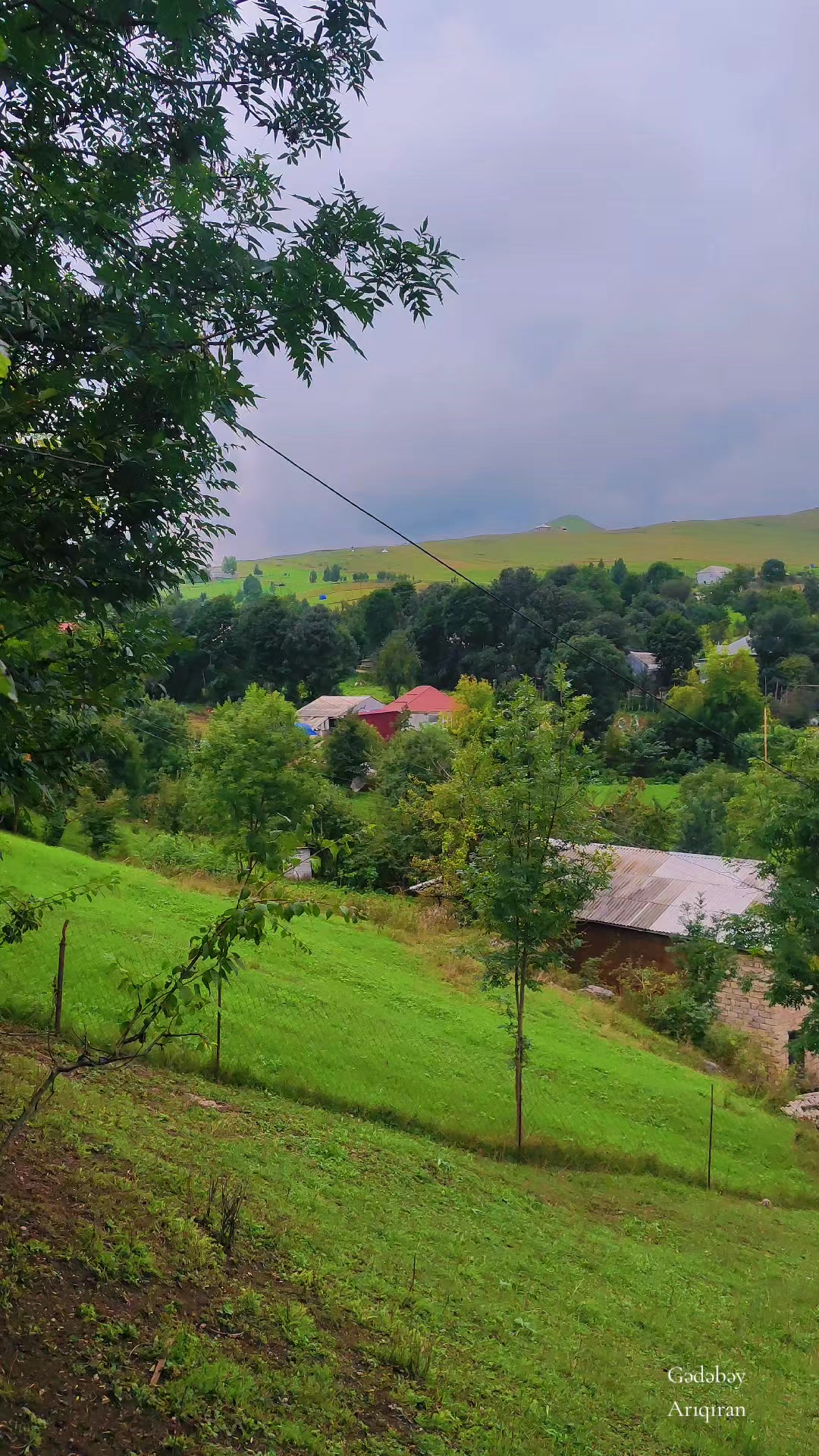 @Anar_Əliyev
