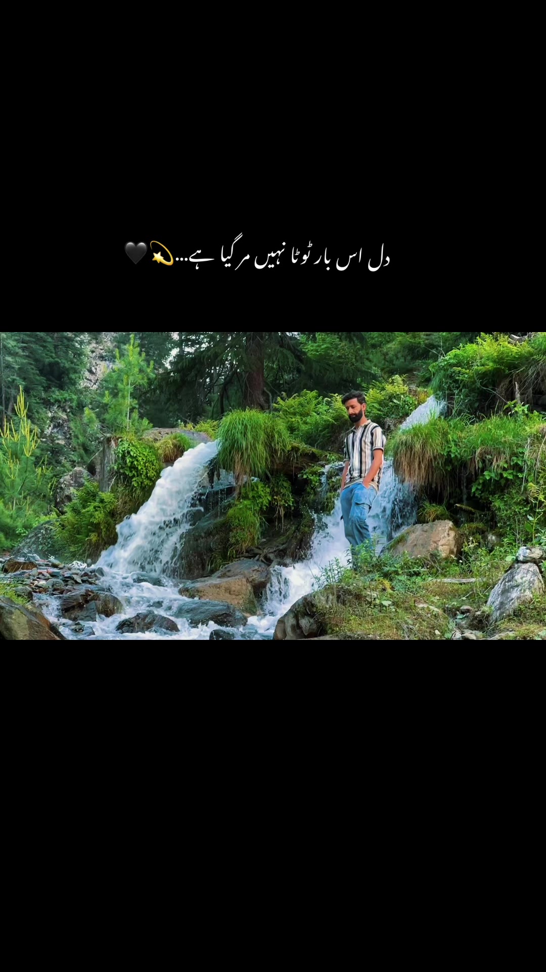 @Aamir Kashmiri 🍁