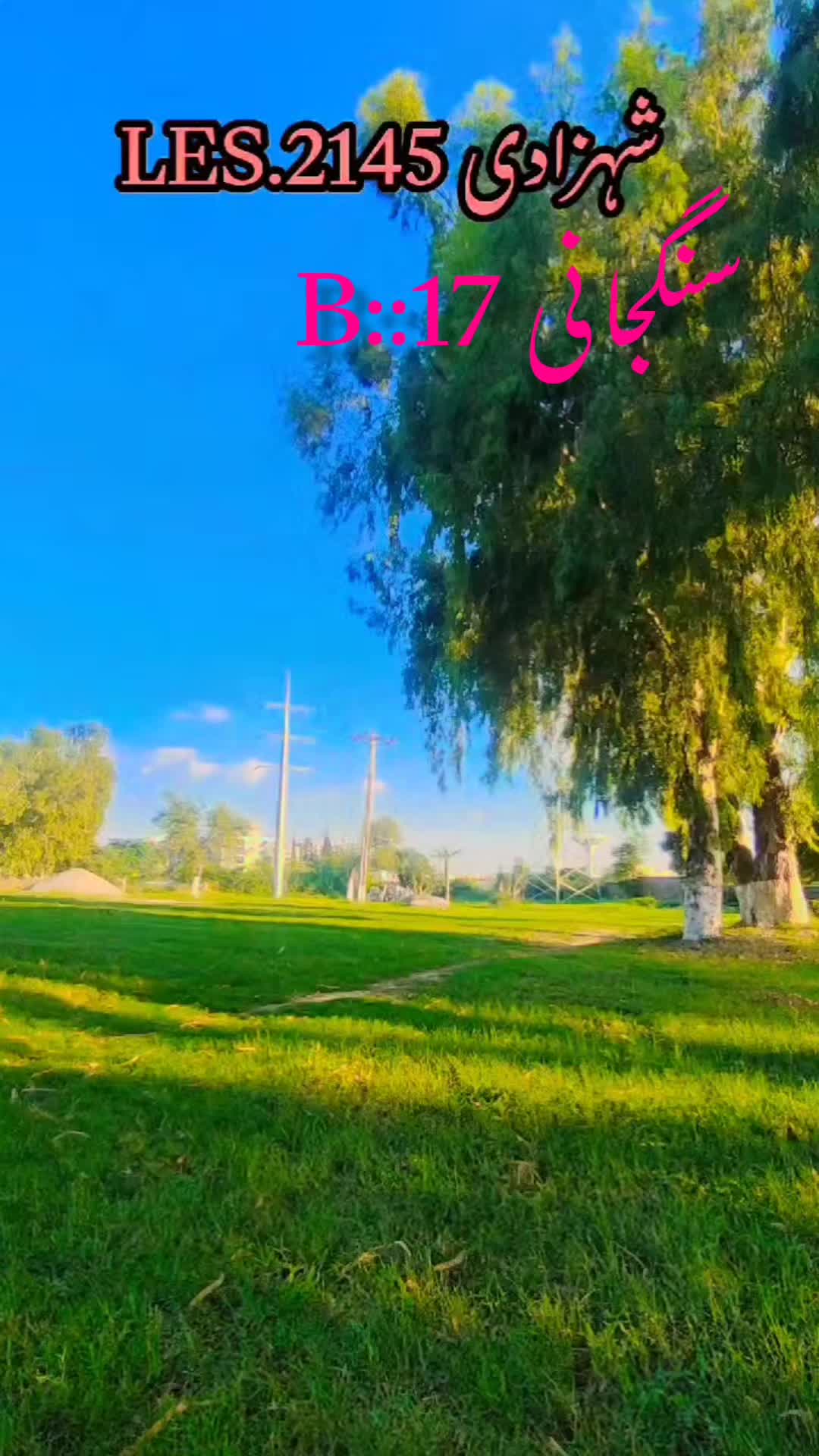 @M Sagheer Mughal
