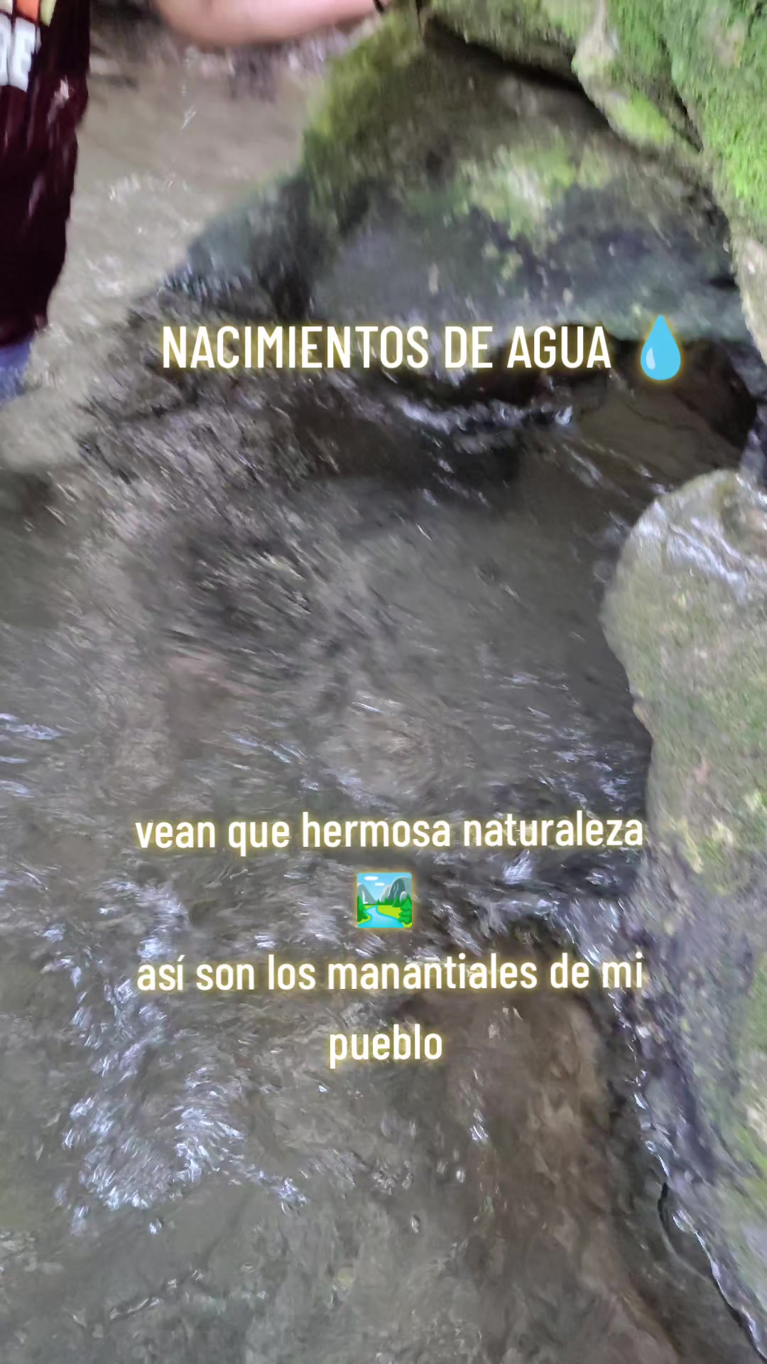 @Zoe Ferreira❤️🥰