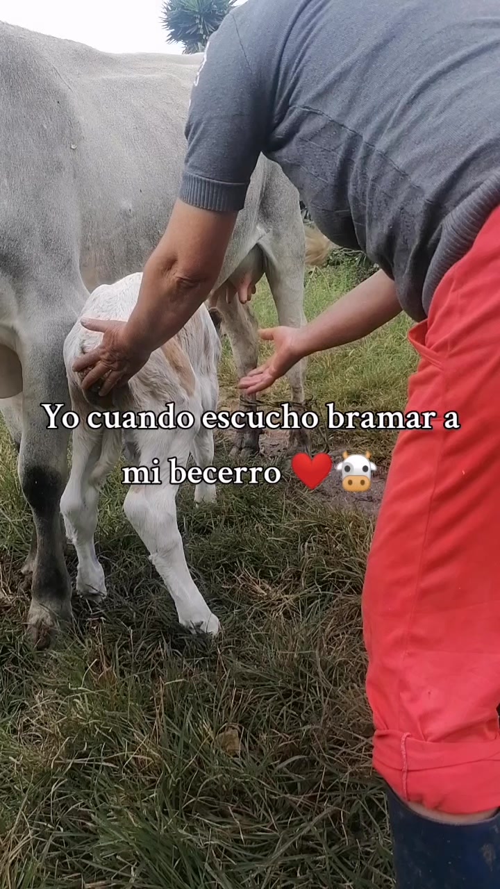 @cata gomez