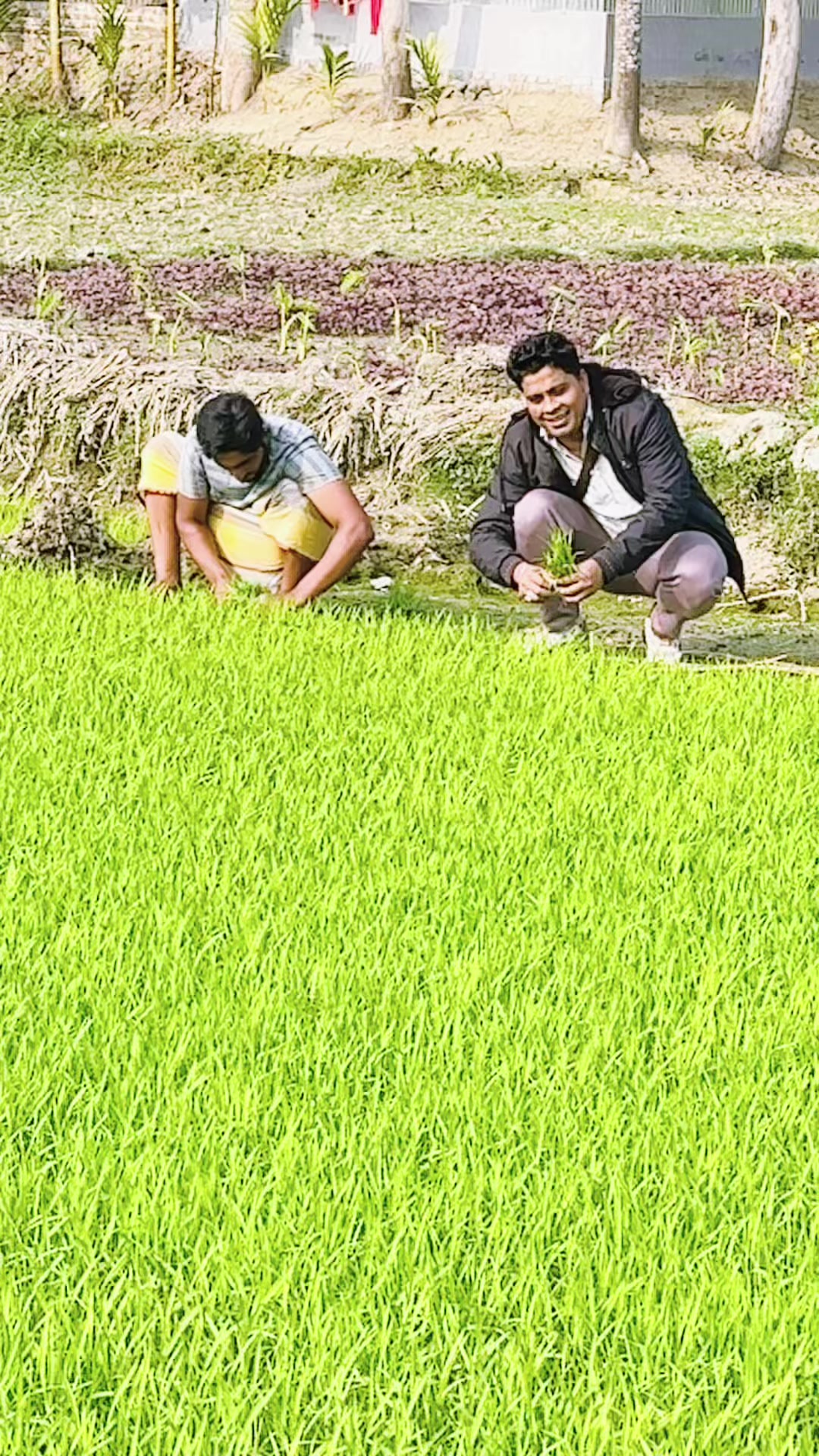 @মানবতার হাসান ভাই
