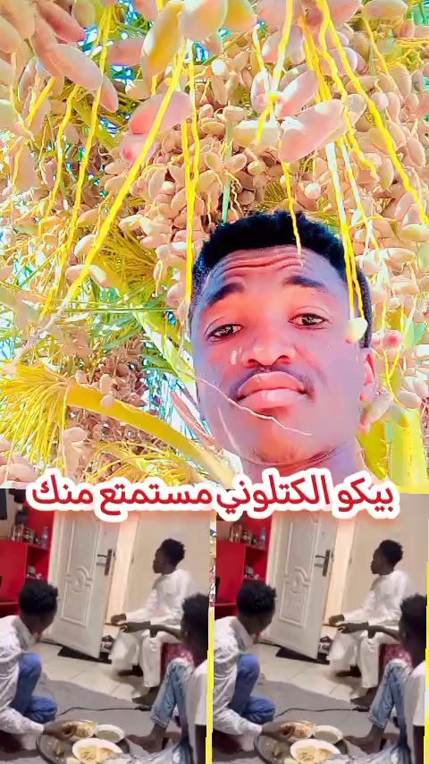 @حامدشعيب ودشمار 🇸🇩🇳🇬⚔️