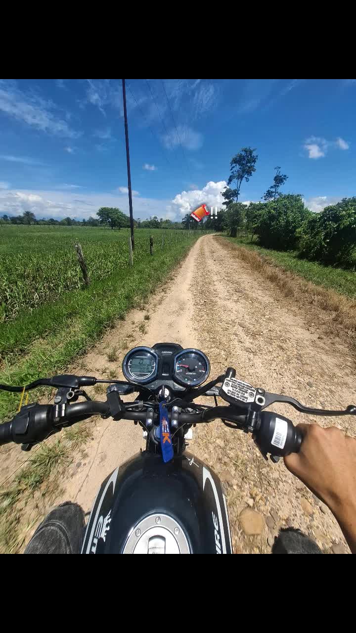 @R'icardito 🐊
