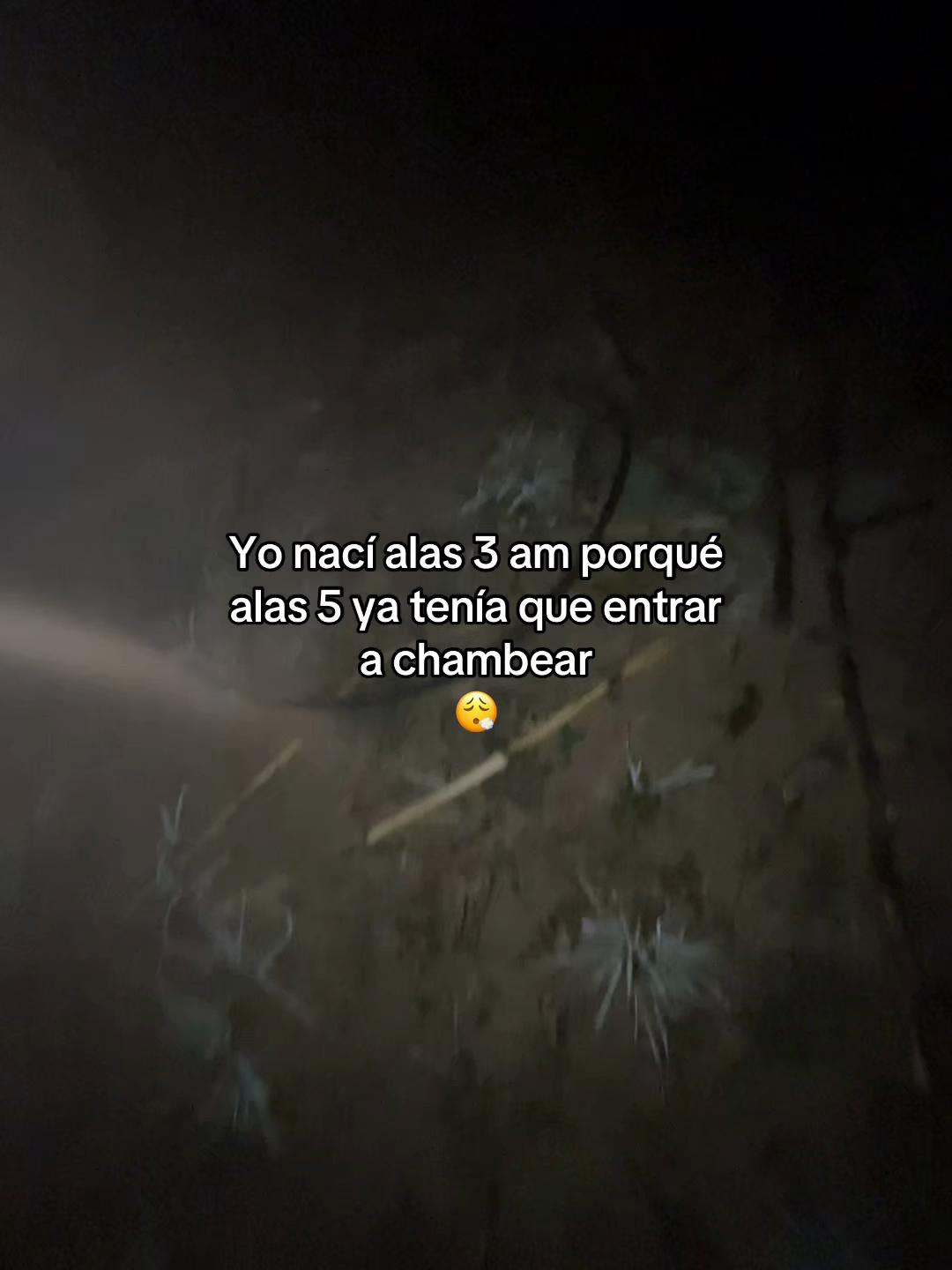 @Henry 🫡🤠