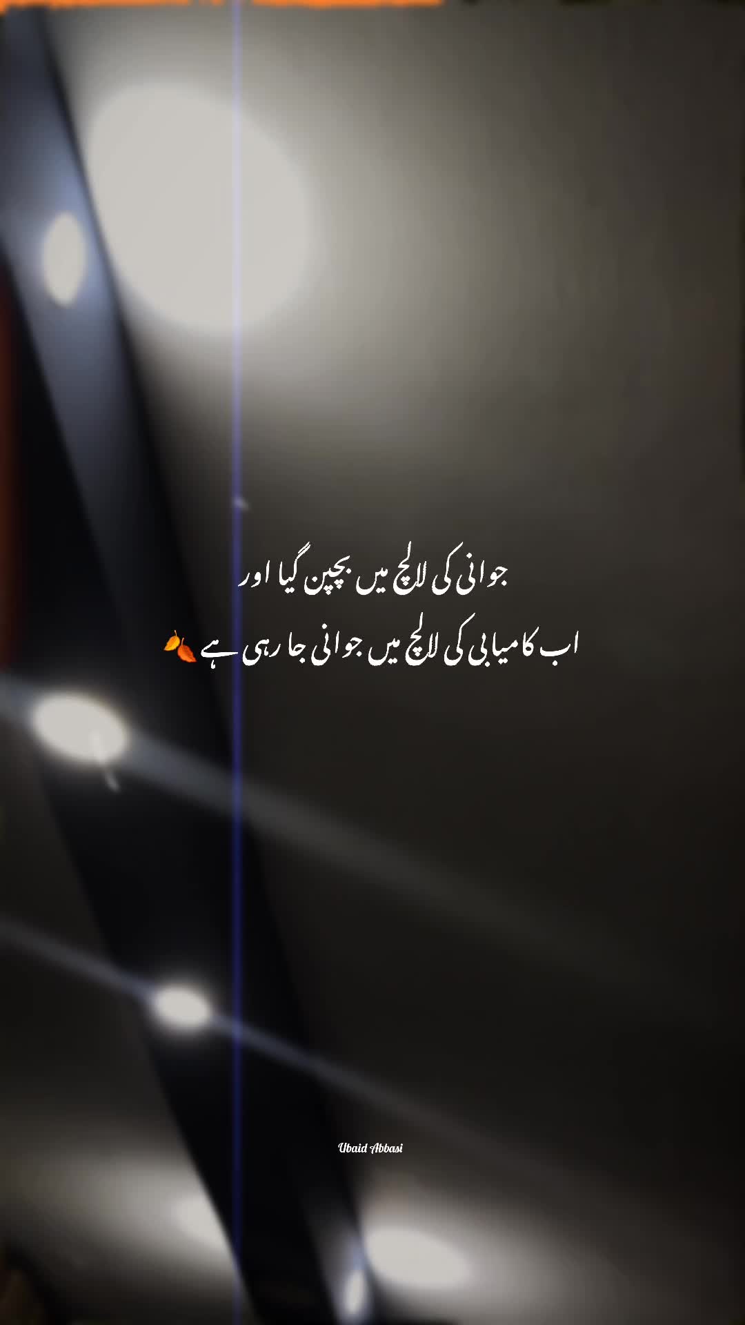 @Ubaid Abbasi ⚜️