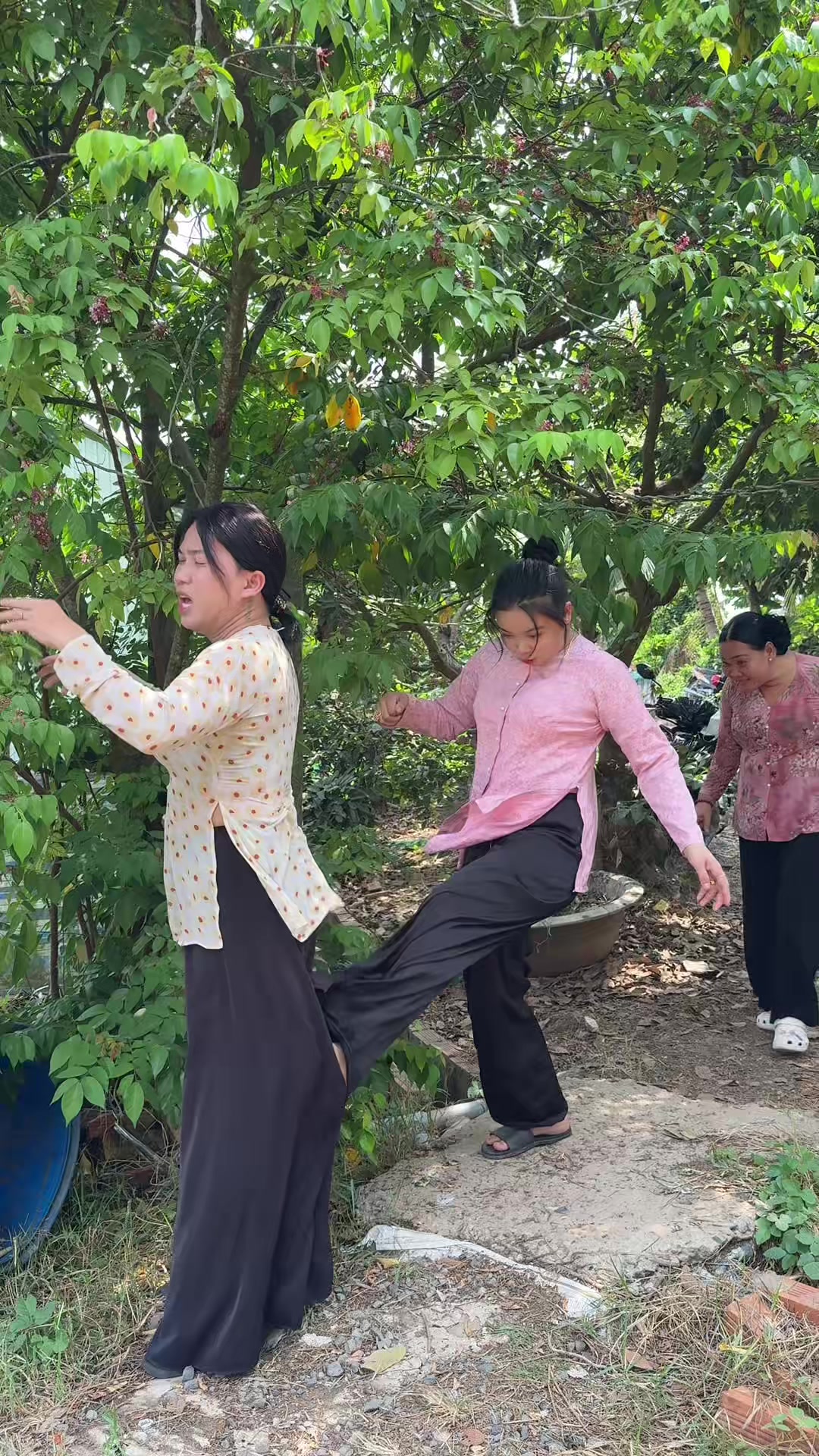 @Ngọc Tình