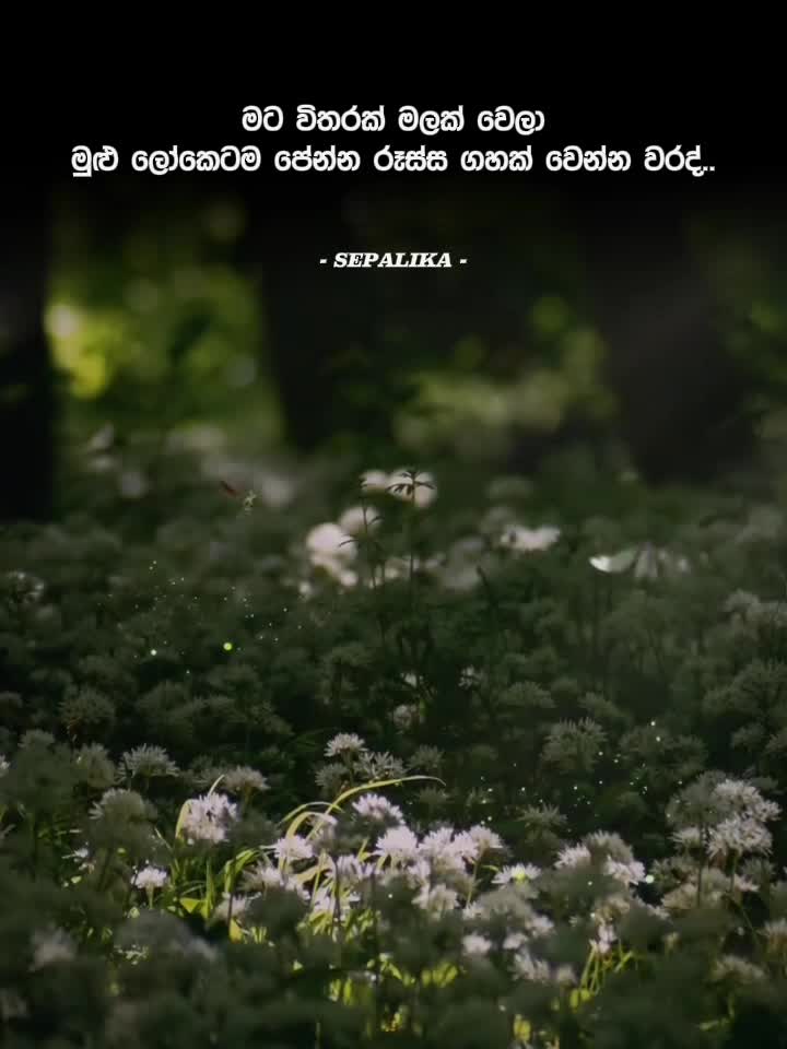 @𝐉𝐄𝐙𝐙𝐘 𝐁𝐎𝐘 ࿈