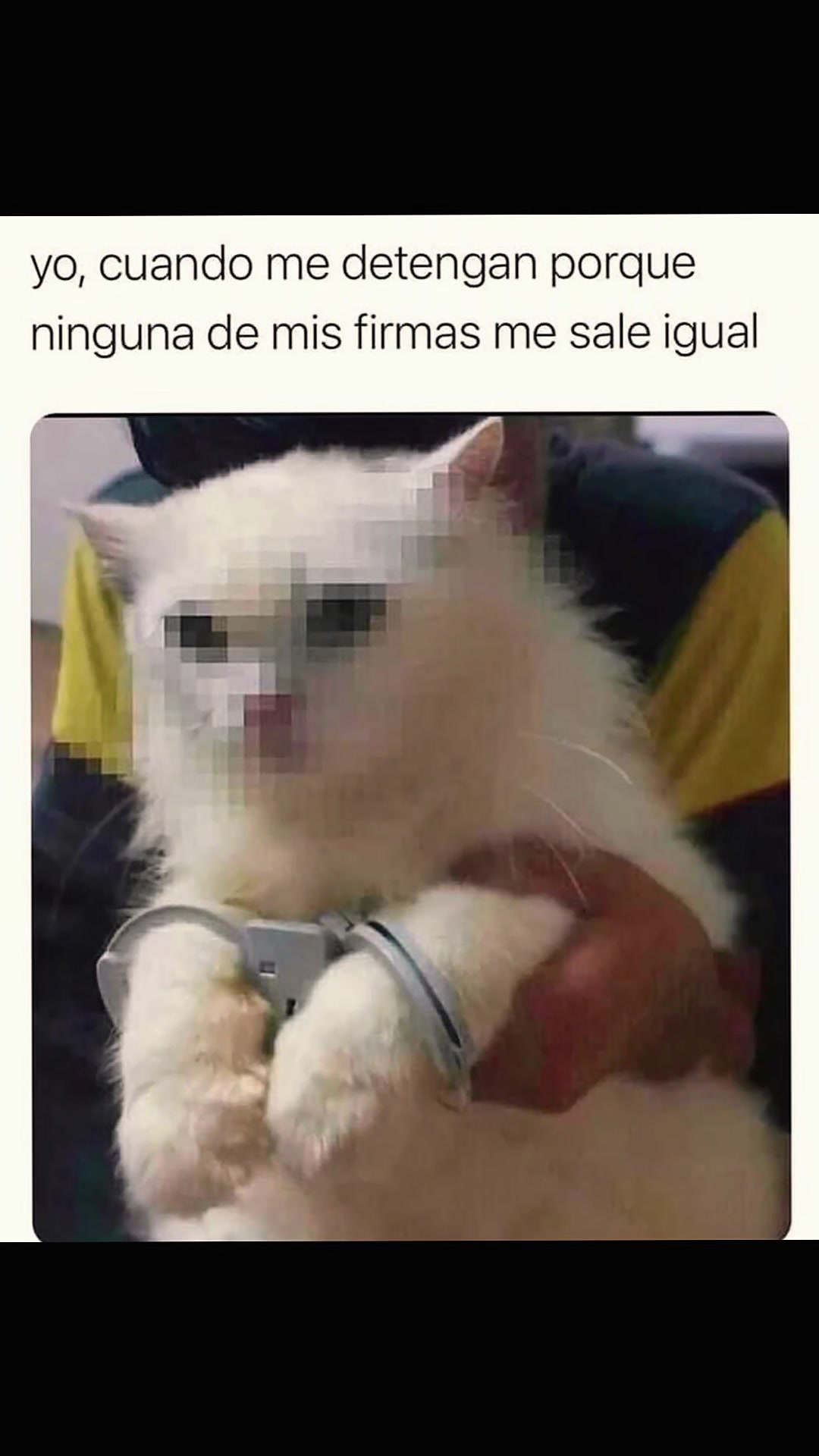 @Mala Elizondo