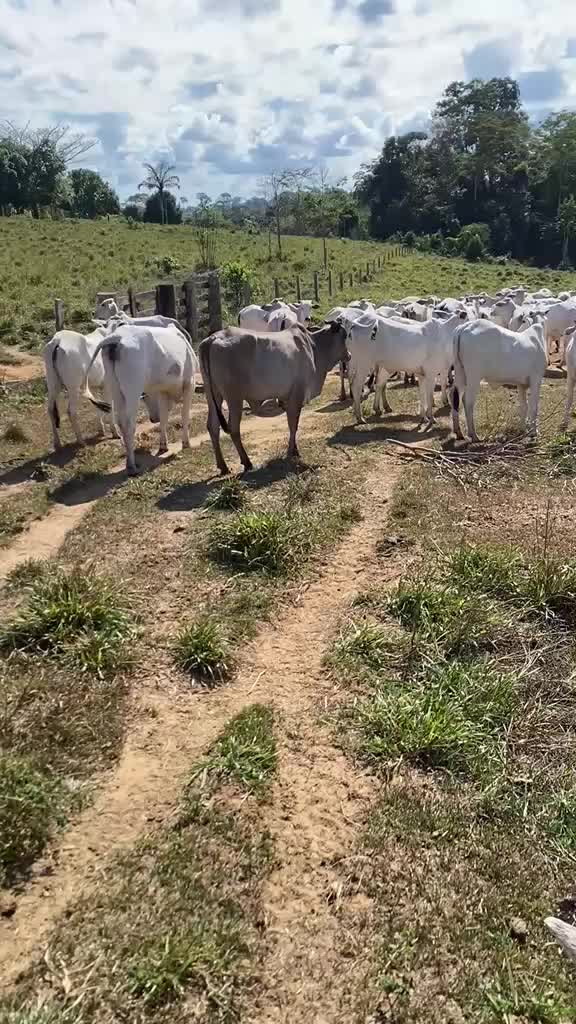 @Marinêz